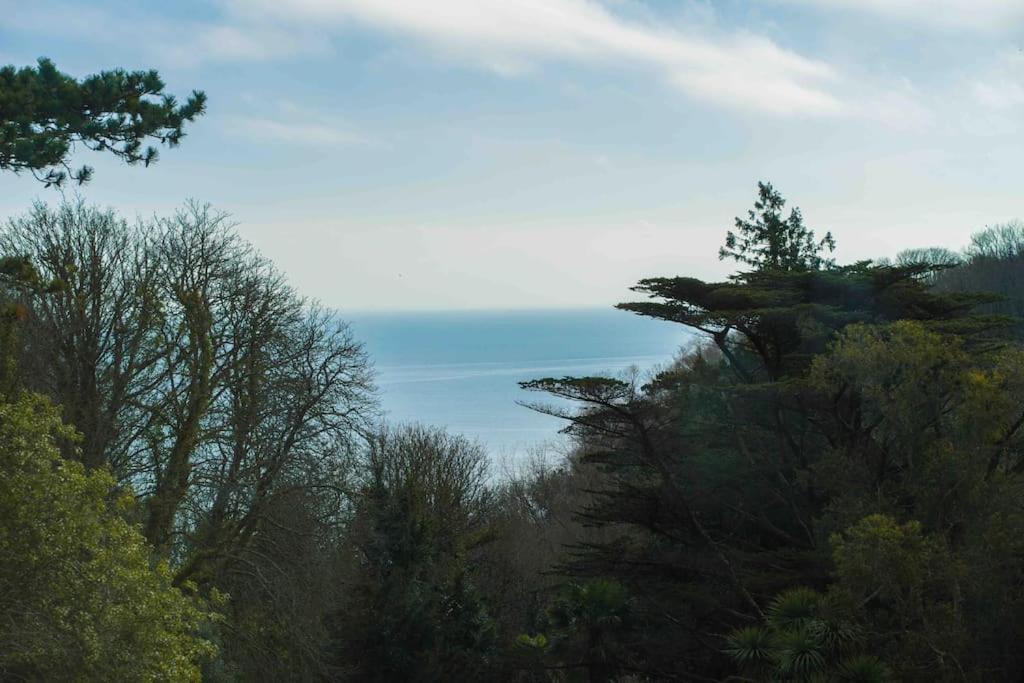 Beautiful Beach Side Apartment Torquay Zewnętrze zdjęcie